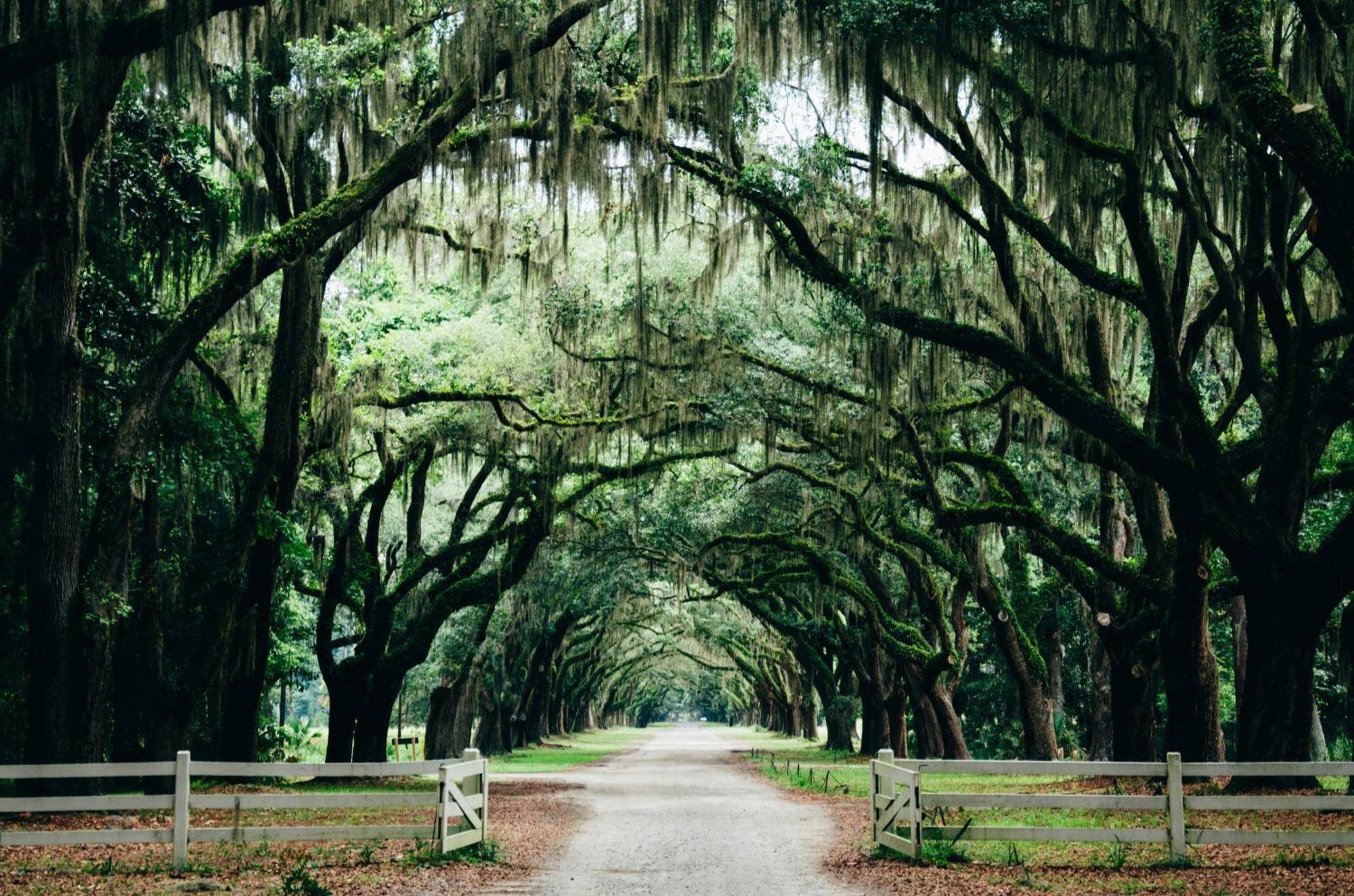 Kimpton Brice Hotel By Ihg Savannah Eksteriør billede